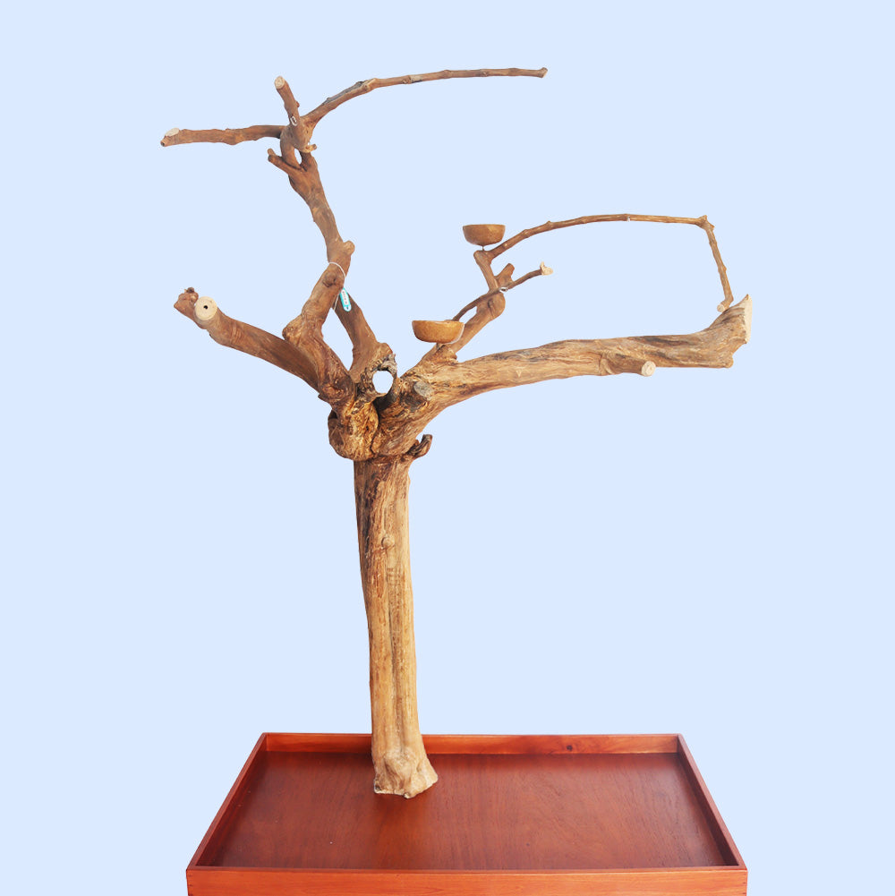 Large Java Tree Play Stand 11