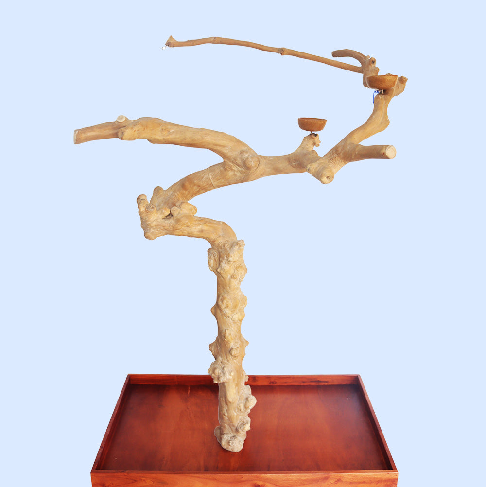 Large Java Tree Play Stand 16