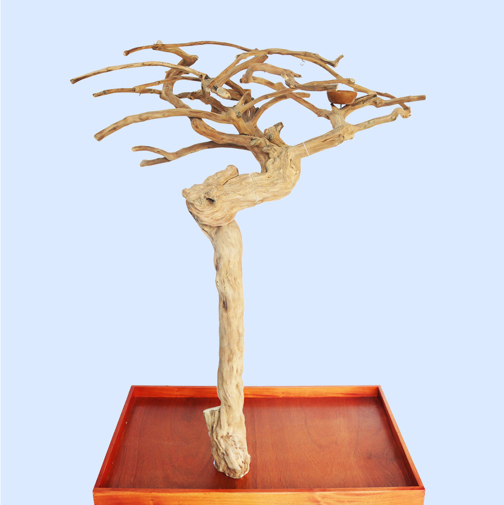 Large Java Tree Play Stand 5