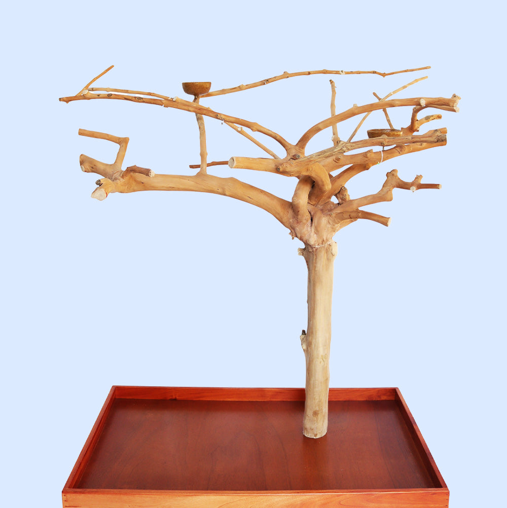 Large Java Tree Play Stand 6