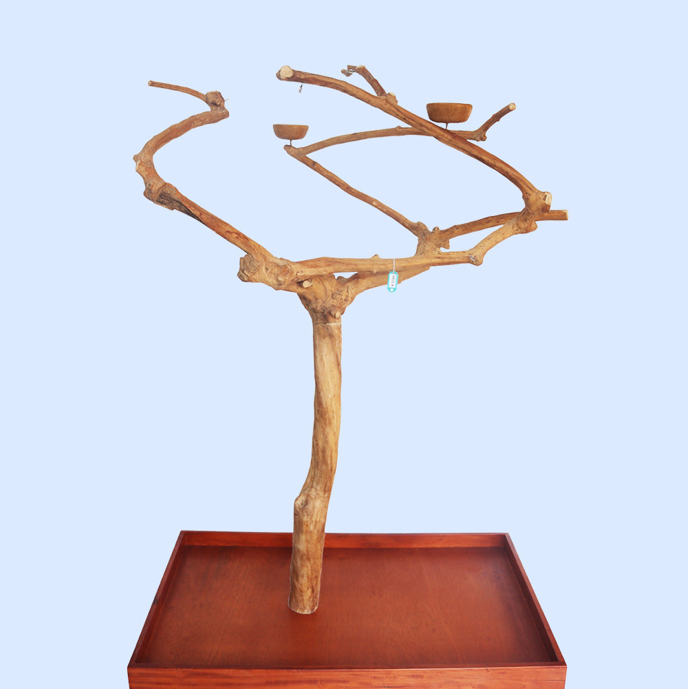 Large Java Tree Play Stand 8