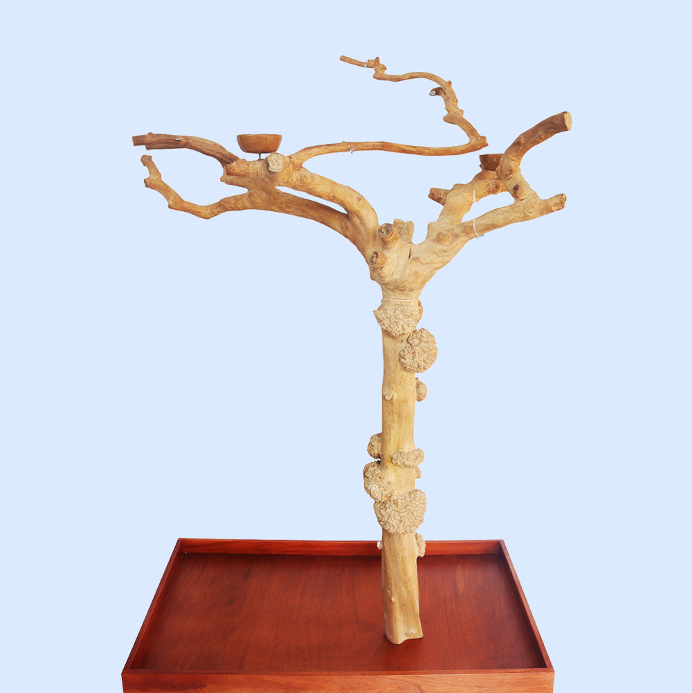 Large Java Tree Play Stand 14