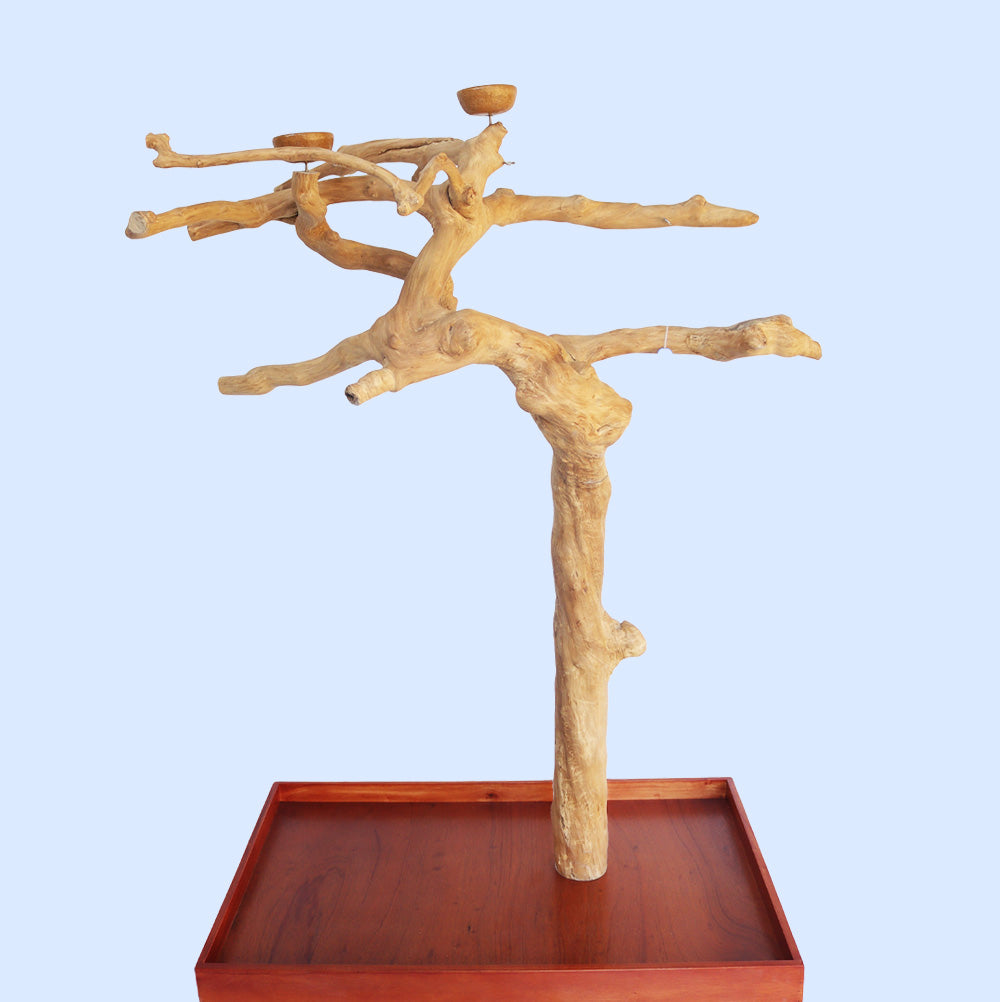 Large Java Tree Play Stand 17